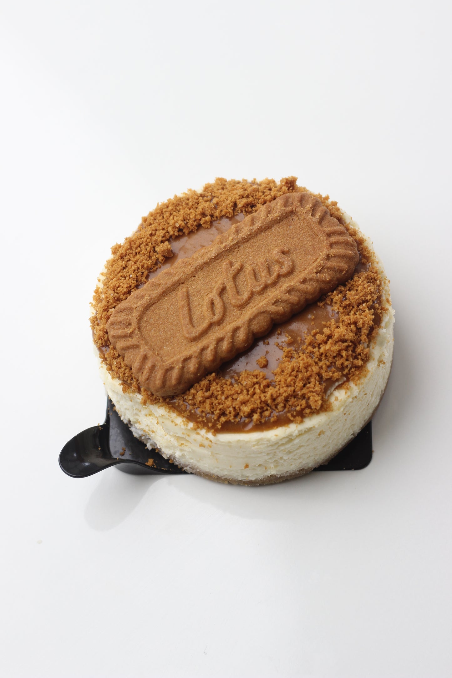 Cheesecake Lottus